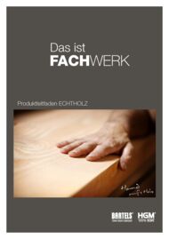 PDF-Prospekt download