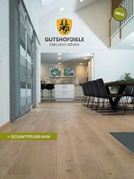 PDF-Prospekt download